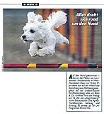Artikel